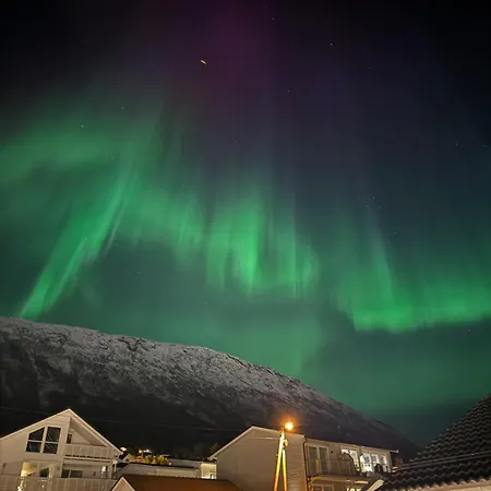 Cozy In Tromso
